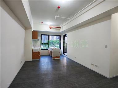CS190391