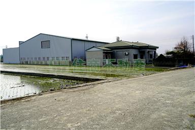 BS65941