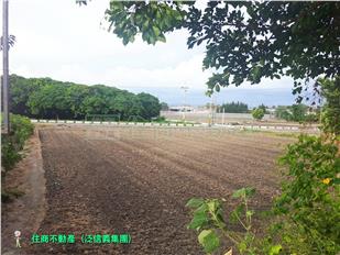 RS29434