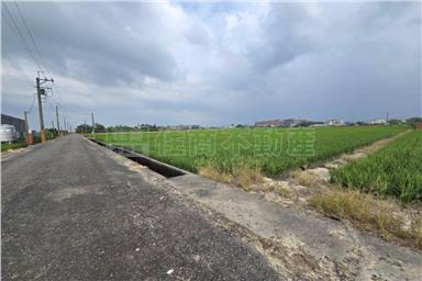 FS229773