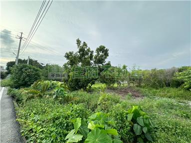 FS86023
