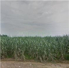 FS127460