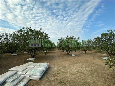 FS208475