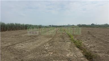 FS229866