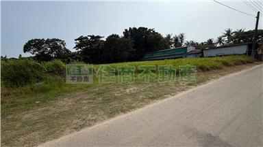 FS231384