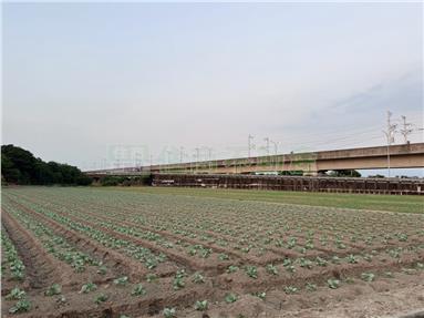 FS230525