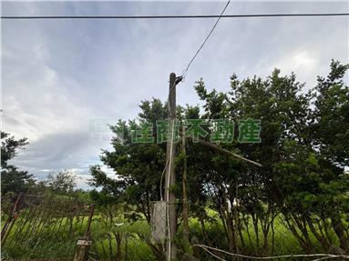 SS72385