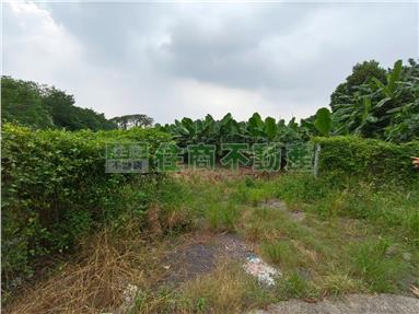LS148889