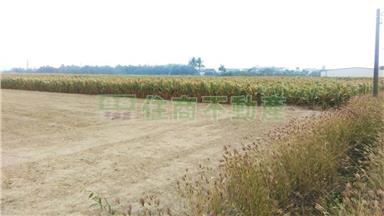 FS185863