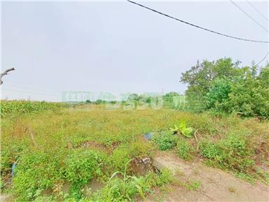 GS146780