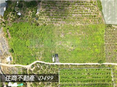 FS225544