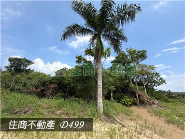 FS229469