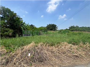 FS231440
