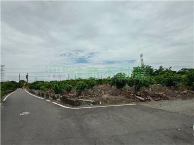FS206625