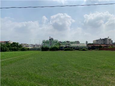HS87333